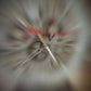 Tag Heuer CR7 Grey Quartz Chronograph